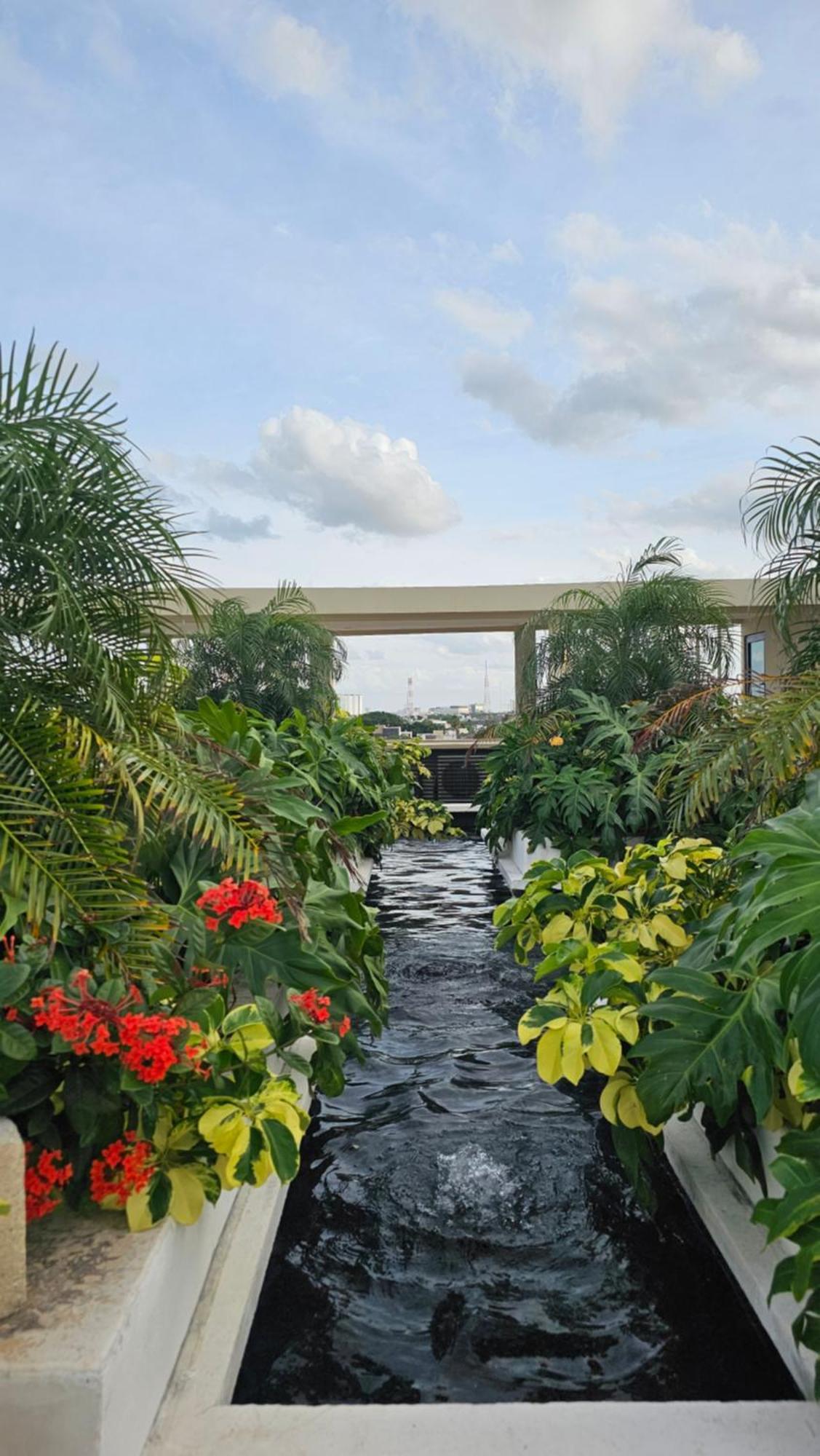 Xoza Hotel Urban Escape Cancun Luaran gambar
